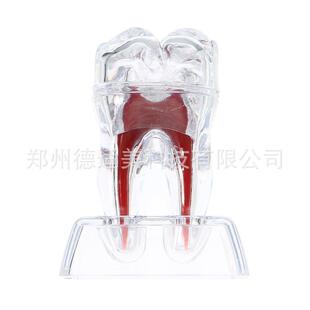 ���ƿɷֽ���ģ�͆��w������ģ��͸���ɲ����ģ�����l