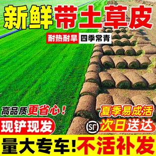 ��������Ƥ���ƺ�e�����@�G�����޼����X��̨�����R������Ƥ����