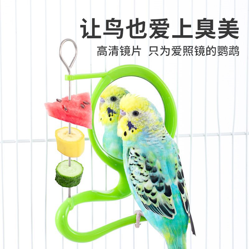 Parrot feeder Peony Xuanfeng Fruit Vegetable Bird Cage Accessories Ruoding Chicken Breeding Products Fruit Frozen Chicken Box Steel 5