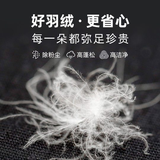 National standard down manufacturers wholesale 90 white duck down pure white clothing standard e-commerce testing bulk 95 duck down filler