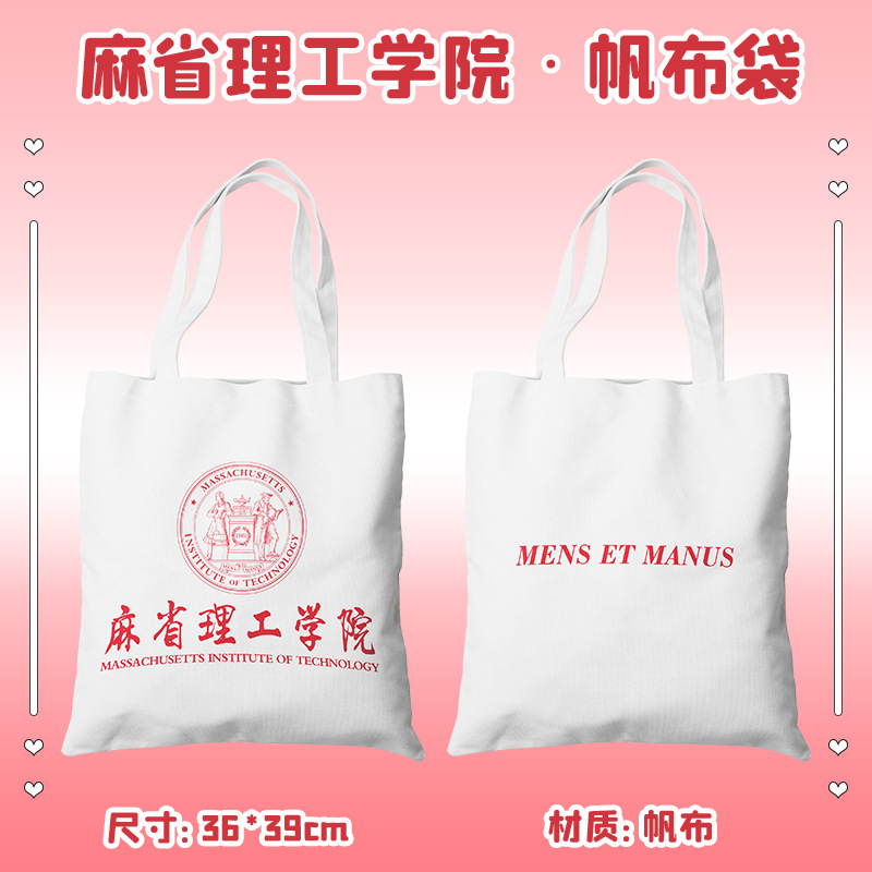 麻省理工学院周边帆布包名校帆布袋学生上学手提包女单肩包书