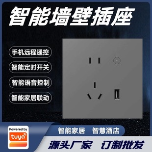 Graffiti solution Zigbee wall smart socket 86 bottom box smart home voice control mobile phone remote control switch