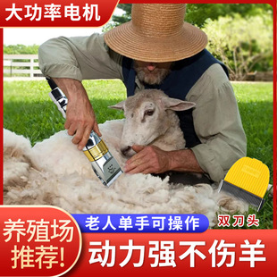 �����J��ë��Ƽ�����ë��������ë����늄����Ӵ���Ȯ�d����