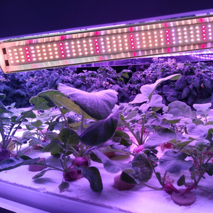 T20 plant growth lamp flower coloring plus UV36W seedling three-row vegetable greenhouse full spectrum fill light tube