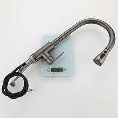 Wholesale Kitchen Faucet Pull-out Cold and Hot Gun Gray 304 Stainless Steel Sink Dishwasher Pool Extendable Rotatable 