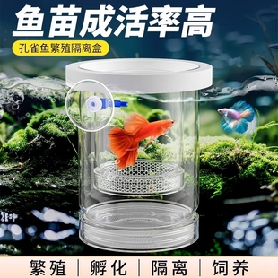 Fish Tank Hatching Box Guppy Breeding Isolation Box Small Fish Eggs Fry Zebra Fish