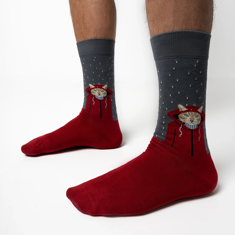 Unisex Einfacher Stil Klassischer Stil Farbblock Baumwolle Crew Socken Ein Paar display picture 2