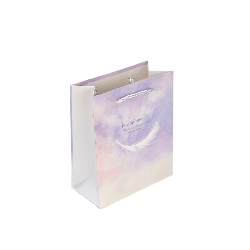 Bolsa de regalo de Año Nuevo pequeña bolsa de regalo de cumpleaños grande creativo estilo ins bolsa de regalo bolso bolsa de papel