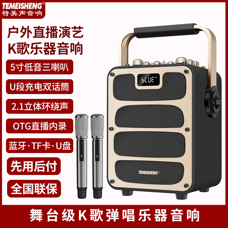 Temeisheng Square Dance Speaker Outdoor Karaoke Live Broadcast High-Power Instrument Portable Wireless Bluetooth Speaker