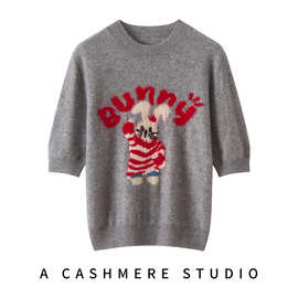 冬新款小兔子山羊绒短袖女圆领宽松套头毛衣纯色针织打底t恤