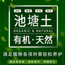 荷塘泥土壤睡莲碗莲水生营养土通用型种菜池鱼塘泥泥精天然