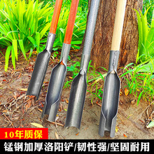 洛阳铲取土器农用挖坑挖山药挖桩洞工具神器淬火锰钢铲子树洞打井