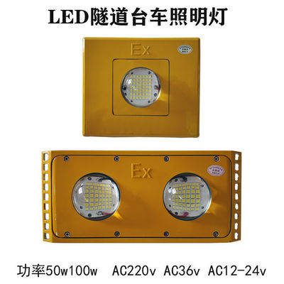 LED隧道灯50w100w220v加油站36v船用矿用仓库防震台车冷库灯