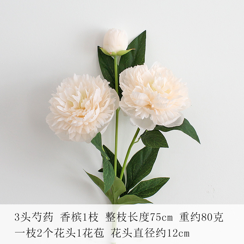 샴페인
