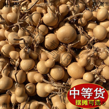 С���Jһ��؛Դ�����^��Ȼ����С����������ؔ����湩��