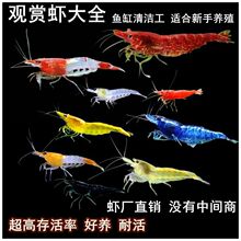 �^�p�r��̖��ˮ�ͻ�С���^�p�~���B�r����ښ��r���֏S��ֱ�N����