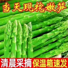 农场直发鲜嫩山东芦笋新鲜蔬菜龙须菜青笋整箱春笋头茬绿芦笋潮流