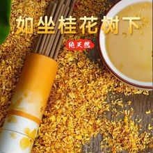 桂花檀香线香室内房间睡眠卫生间卧室净化空气香薰持久留香一件