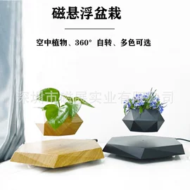 小夜灯;地球仪;展示架