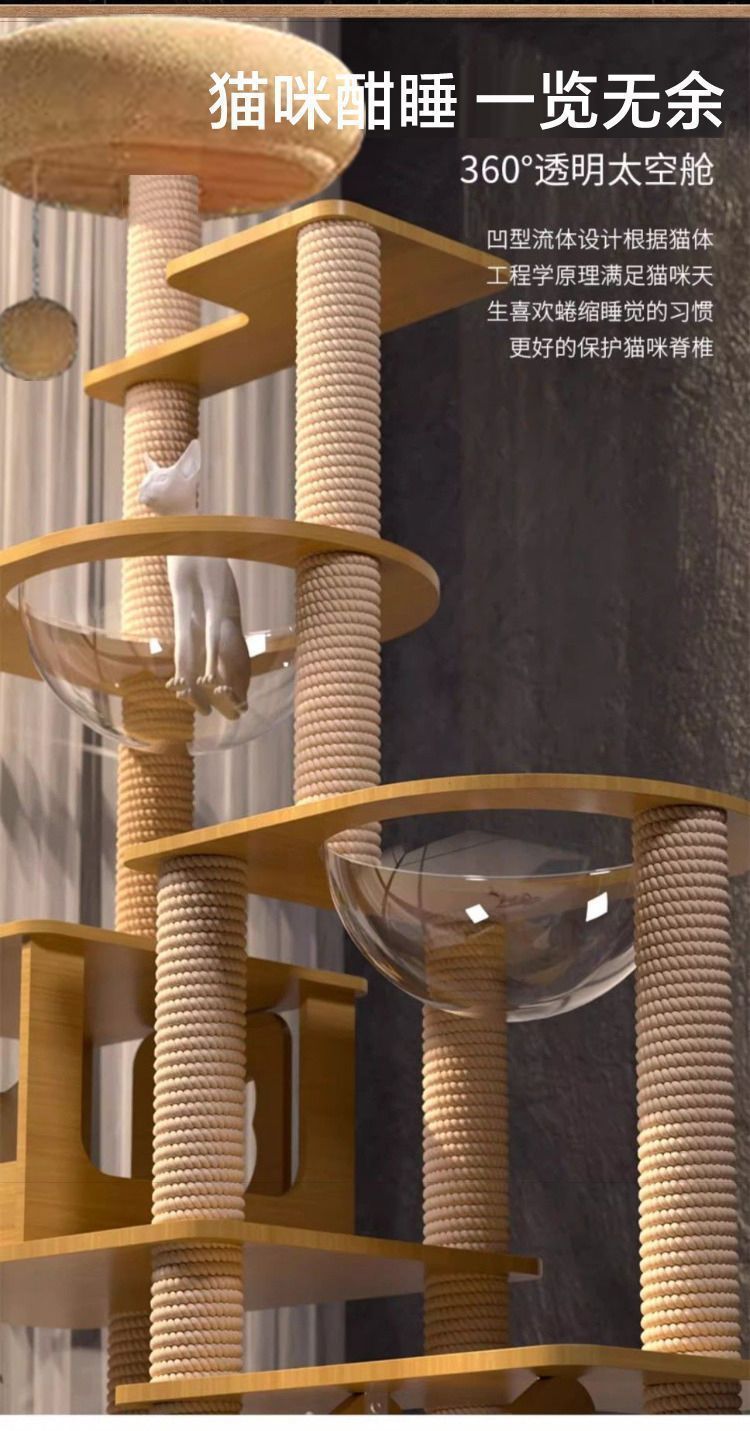 4c16b684-964f-4d44-a382-37da0dd7b17a.jpe