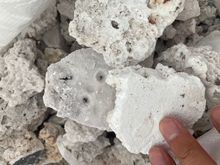 ɽ|oˮȻ}K SֱNF؛l ø