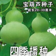 �����J�N�� С���J�߲˷N�Ӵ����N�^�p���J�N�ӻ��N�Ӵ����N�׻�