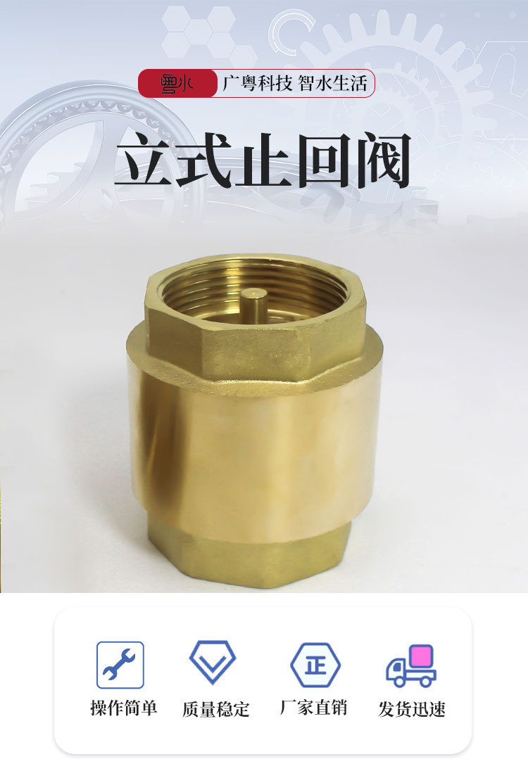 立式止回阀_02
