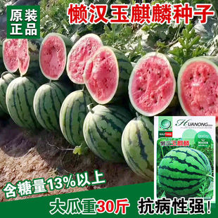 �Нh���������ϷN������8424���Ͼ������ϷN������Ƥ���Ƕȸ߹Ϲ�