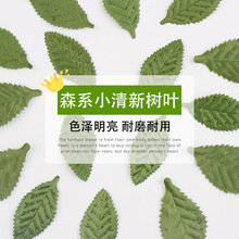 ����ٻ��~�ӾGɫ���yɫ�������~Ƭ��cdiy�^��h���b���