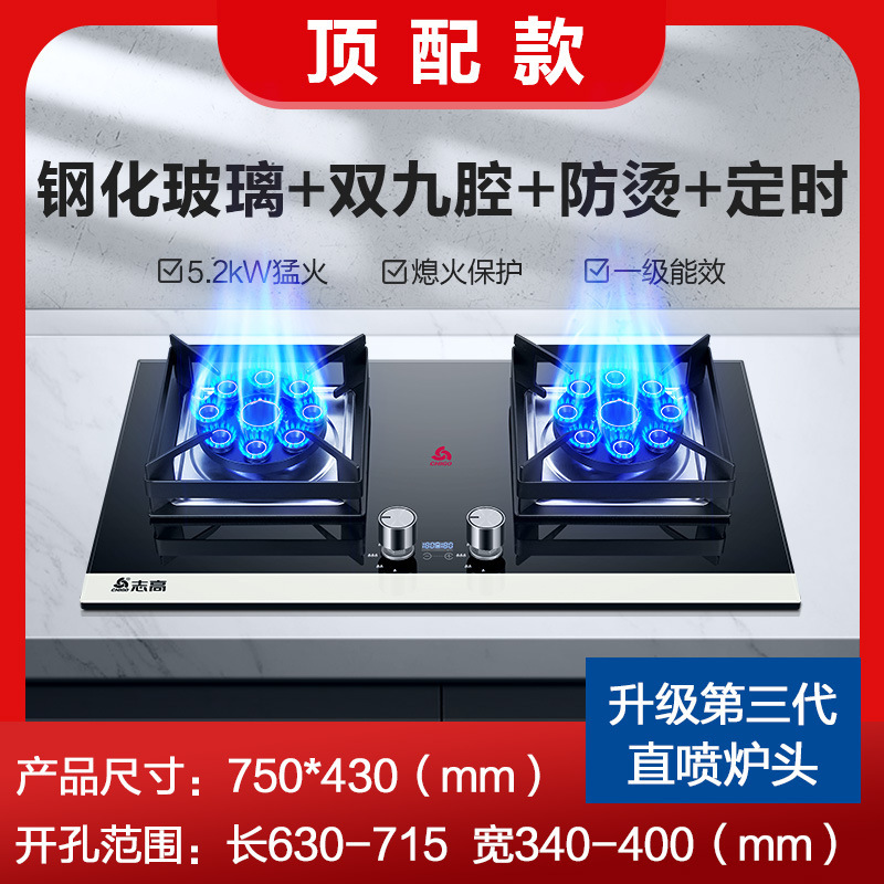 志高 天然ガス・液化ガス両用コンロ 家庭用埋め込み式二口コンロ|undefined