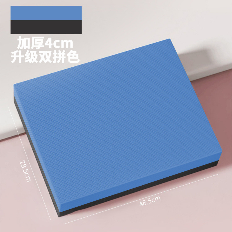 투톤블루 45*30cm [두꺼운 4cm]