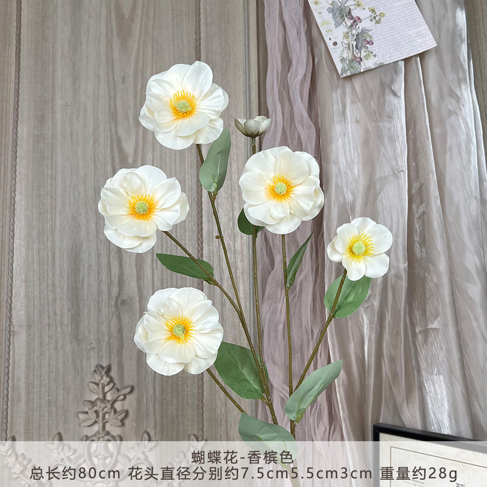 JHGY-蝴蝶花-香槟色