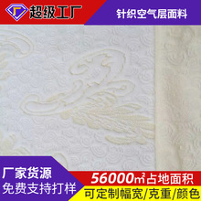 抱枕靠枕乳胶枕家纺面料 夏季天丝针织空气层面料 席梦思床垫面料