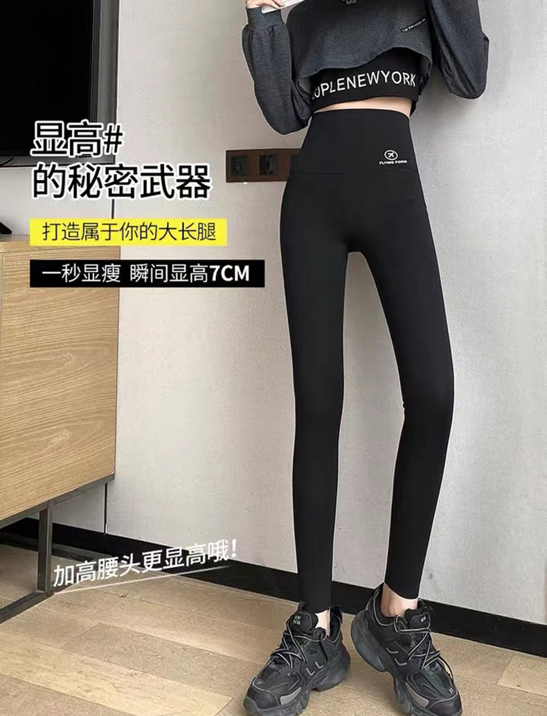 봄과 여름 얇은 섹션