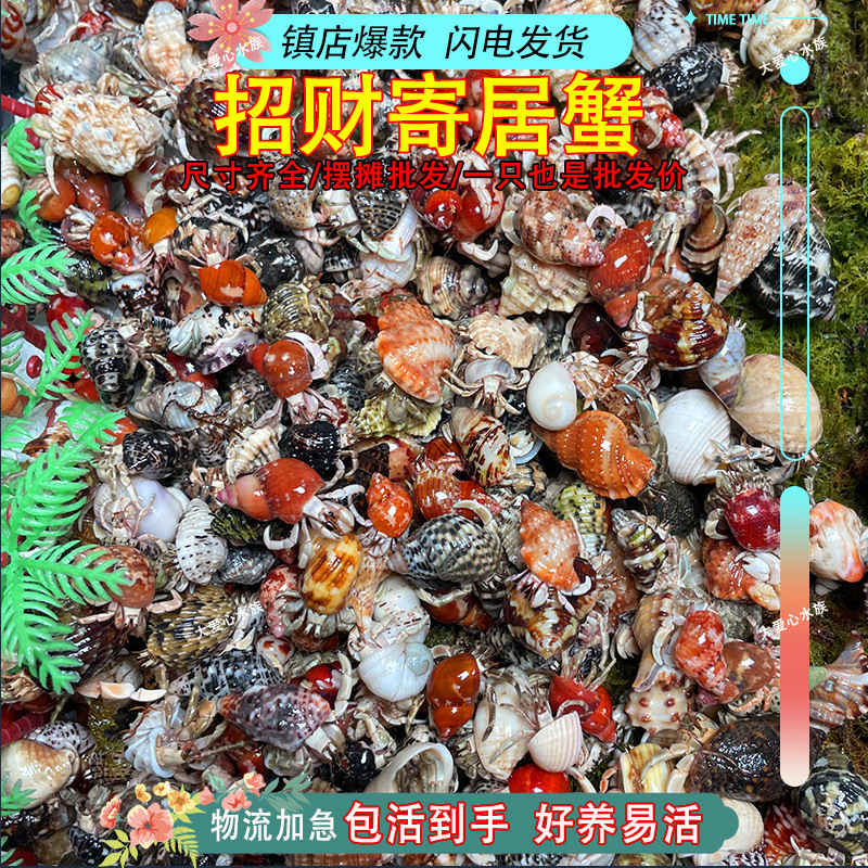 a38181b0-71c0-4cb0-9098-973982da9f09.jpe