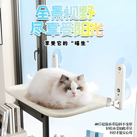 猫猫玩具;狗狗玩具;猫猫窝/笼/垫