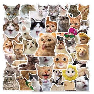 50 new funny cat expression graffiti stickers computer phone shell flat guitar waterproof stickers meme