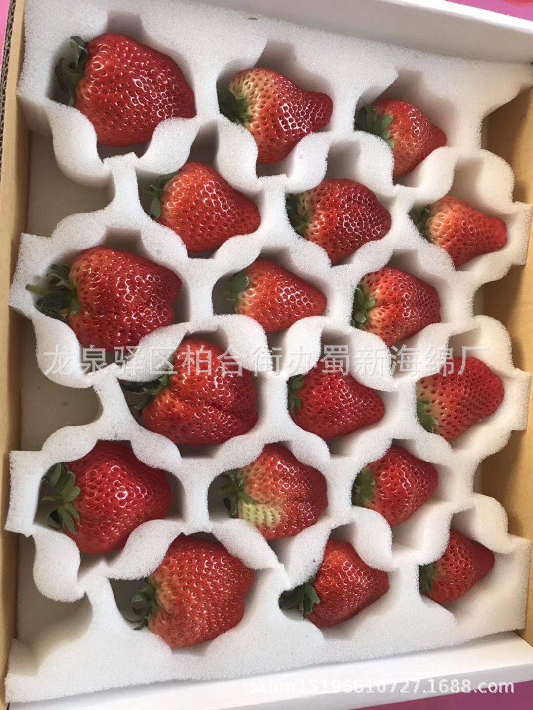 厂家供应草莓白色海绵垫片/66枚77枚草莓周转箱草莓海绵