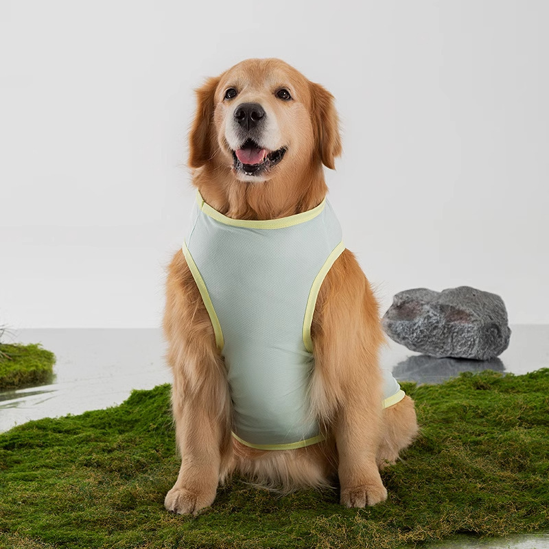 Minimal básico gran perro dorado Labrador gran perro de verano delgado chaleco transpirable ropa de perro perro mascota image 4