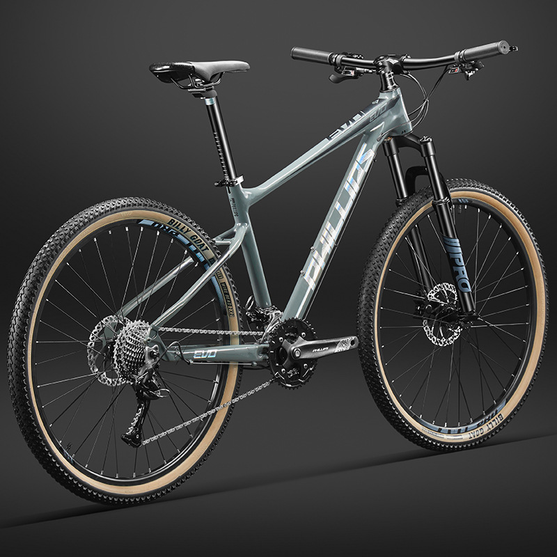 Philip Mountain Bike Bicycle Adult Bicycle Men's and Women's Double Disc Brake Off-Road Student Variable Speed Aluminum Alloy Racing Frame