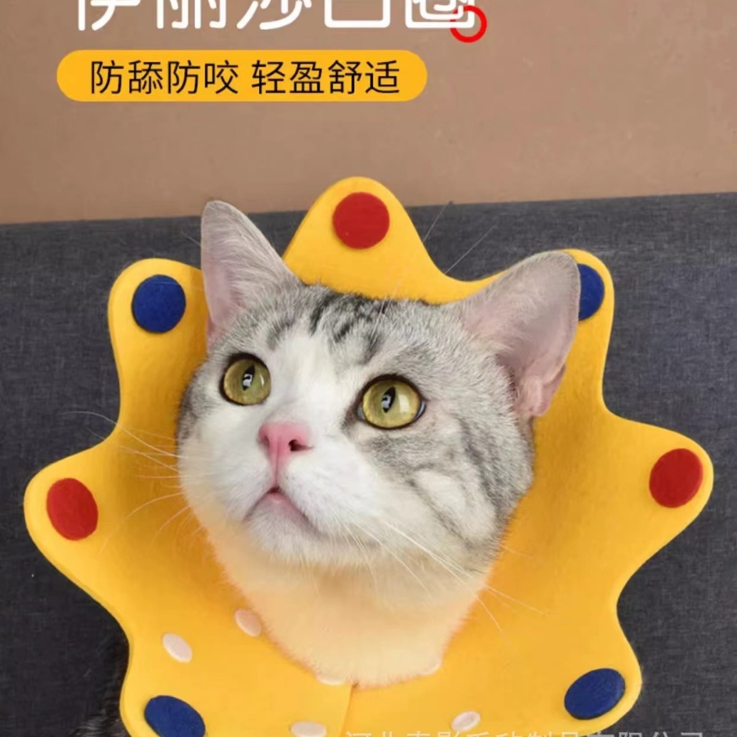 2024-07-16 08:33:12.jpg