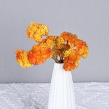 ���й����滨�Gɫ�tɫ��ɫ�ָн�����ٻ�ܛ�z����ֲ��˻��[��