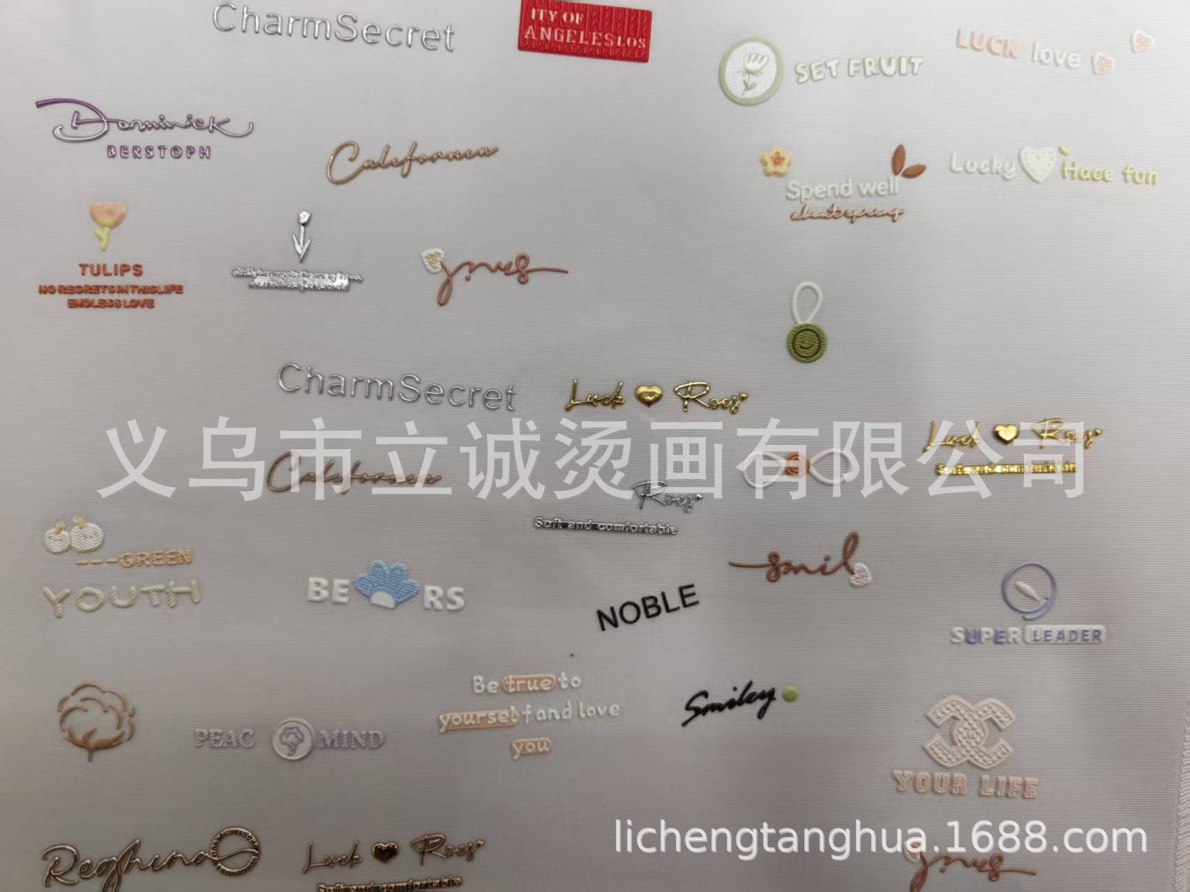 微信图片_20260115143224_1099_27
