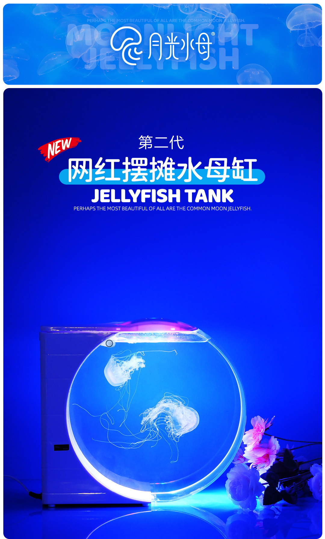 摆摊水母缸桌面缸10L展示缸水族生态鱼缸赤月海月活体地摊养殖缸
