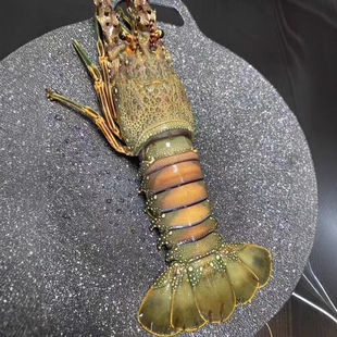 ���С����Խ������С���������r�������r���rˮ�aˮ�a�r�aƷ���l