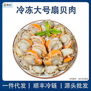 带黄冷冻扇贝批发_1688高蛋白冷链海鲜