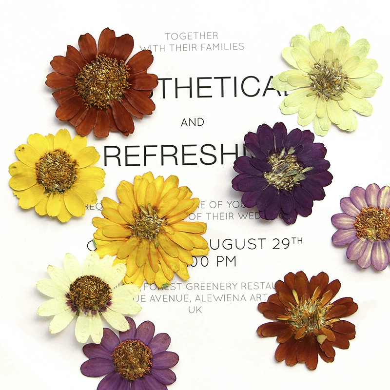 Цинозантус сушеный цветок с тиснением настоящий цветок образец растения клей капля ювелирные изделия фоторамка Закладка цветок Настольная лампа DIY материал сумка