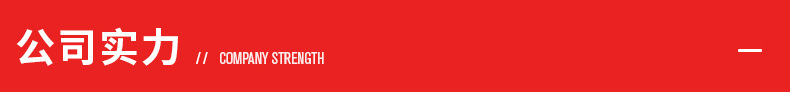 公司实力