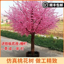 �����һ�����Ҙ��̳�����ֲ�������S��҃��̈��쾰�b[��