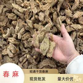 昭通小草坝乌春麻1kg干货散装现货批发量大价优多规格乌春麻
